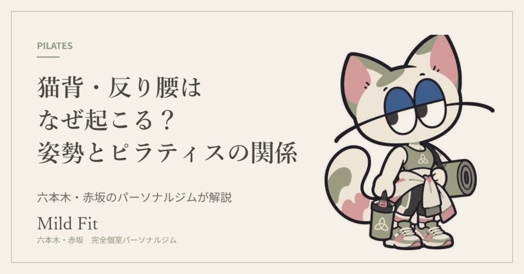猫背・反り腰はなぜ起こる？姿勢とピラティスの関係｜六本木・赤坂のパーソナルジム