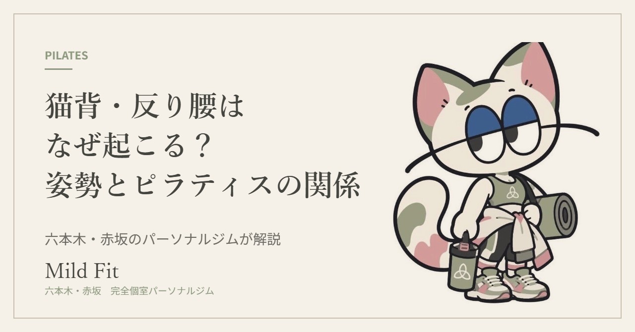 猫背・反り腰はなぜ起こる？姿勢とピラティスの関係｜六本木・赤坂のパーソナルジム